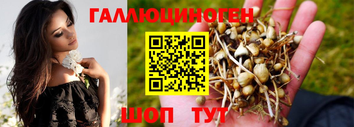 Псилоцибиновые грибы Psilocybine cubensis  Вход с VPN  Элиста 